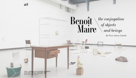 FEATURE Benoît Maire in L'Insolent Magazine : "the conjugation of objects and beings"